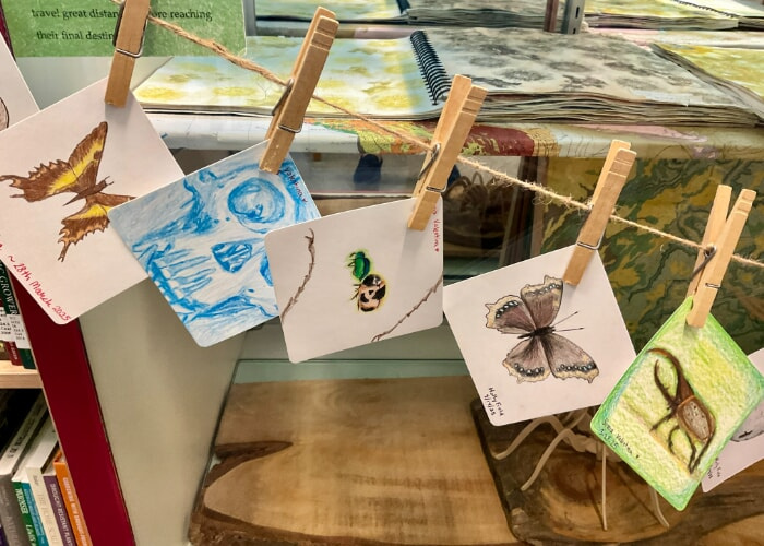 Draw Collection Drawing Collections Series | Western Mass Arts Events